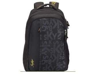 skybags footloose leo 03 grey & black color block backpack