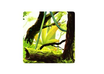 Mossy Forest Live Wallpaper Worth Rs. 230 For Free