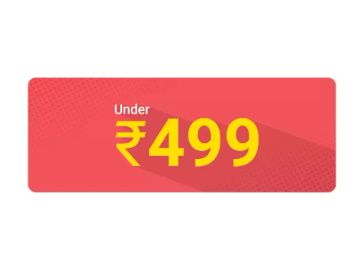 Under Rs. 499 Store