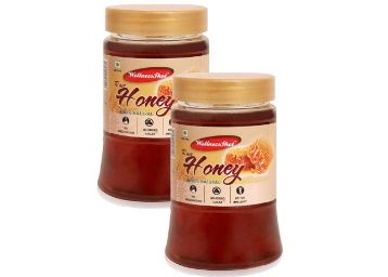 Wellness Shot 100% Natural Raw Honey (Buy One Get One Free) 500gm Pack of 2 at Rs. 249