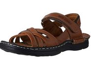 Red Chief Elephant Tan Casual Thong Sandal for Men