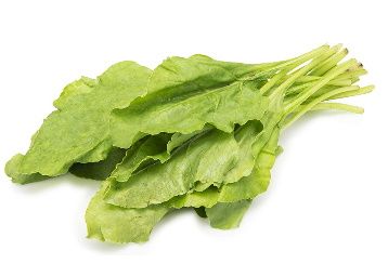 Buy Fresh Spinach, 250g in Rs. 10/-