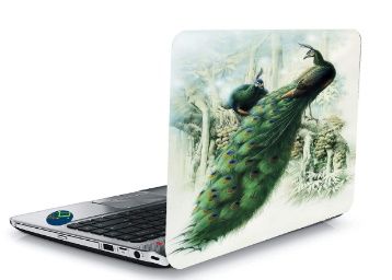 Buy Laptop Sticker 15.5 Inch in Rs.65/-