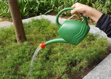 Flat 84% Off 2 Litre Watering Can in Rs.304/-