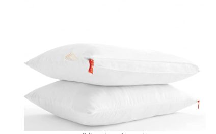 SleepyCat Microfiber Cloud Pillow Set of 2 with Adjustable Zipper