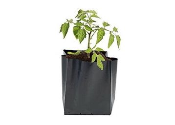 Ballatha Nursery Bags for Plants Black 5x7 inch, 10 Pieces at just Rs.21