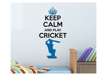 Asian Paints Wall-Ons Keep Calm Cricket Wall Sticker at Just Rs.99