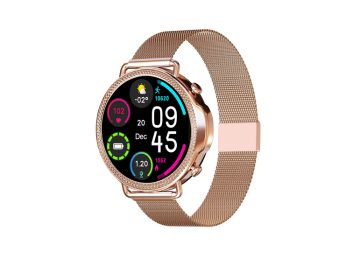 Min. 50% off on Life Long Vibez !!