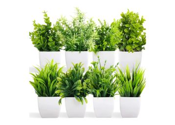 Dekorly Artificial Potted Plants, 8 Pack At Just Rs.339