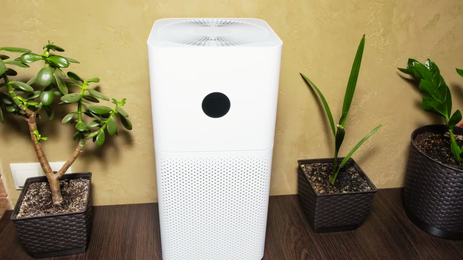 10 Best Air Purifier in India With Updated Price (2024)