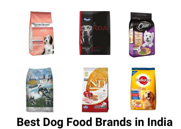 Best Dog Food Brands In India With Price List