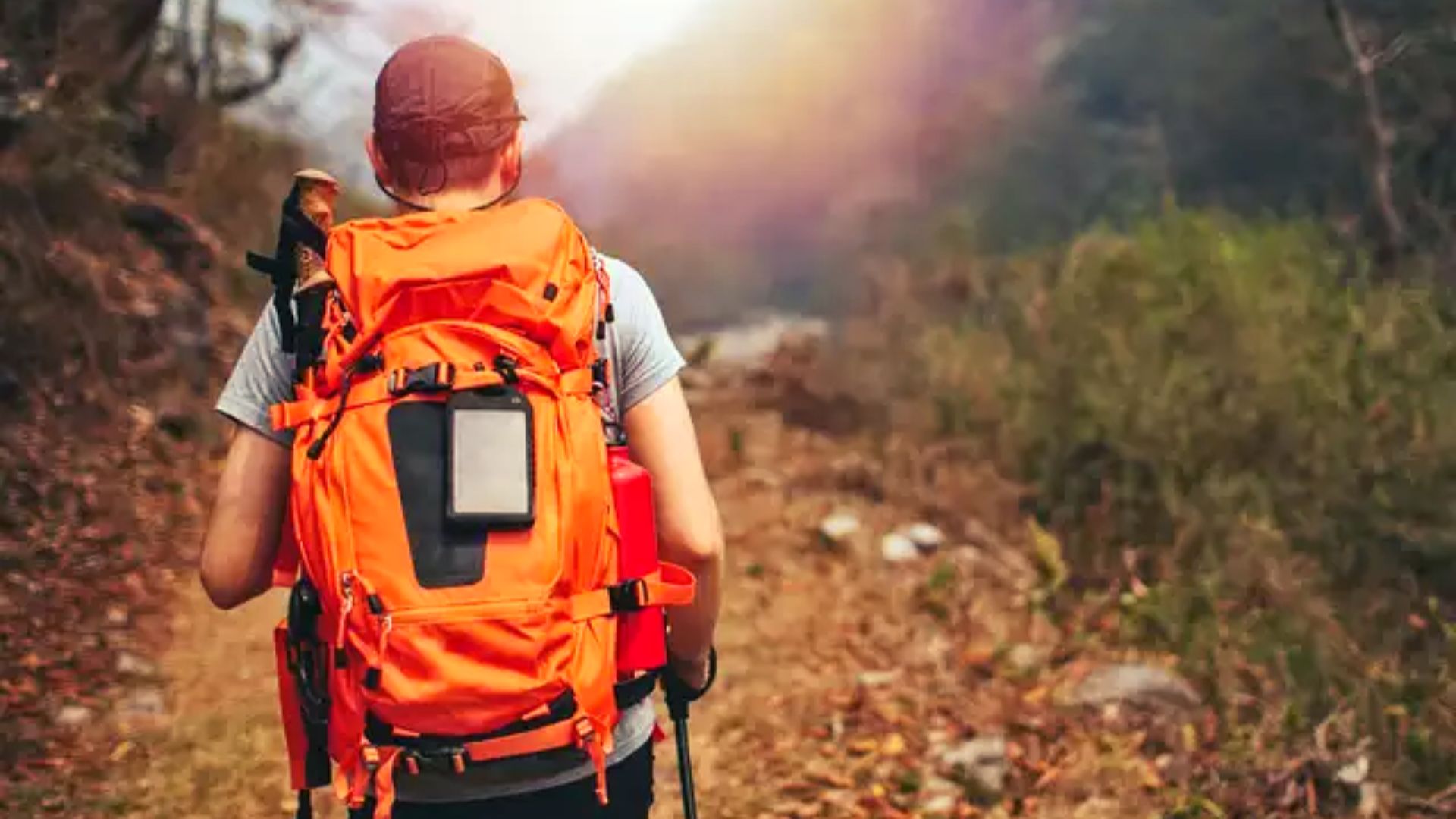 25 Best Backpack Brands in India For Travellers, Students and Daily Needs