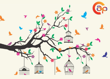 Asian Paints Wall Stickers Price Drop - Get Rs 250 Cashback 