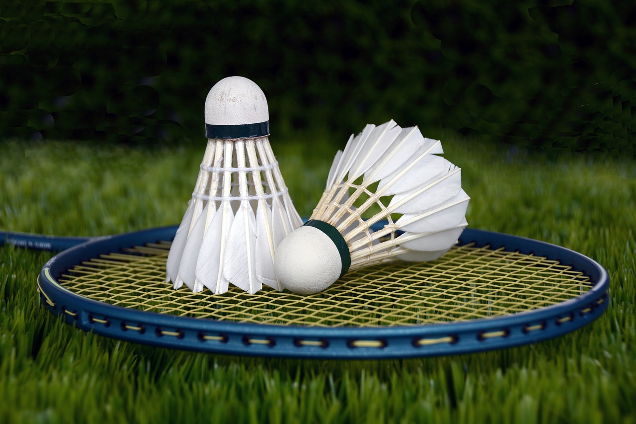 Best Badminton Racket In India - Reviews And Buying Guide