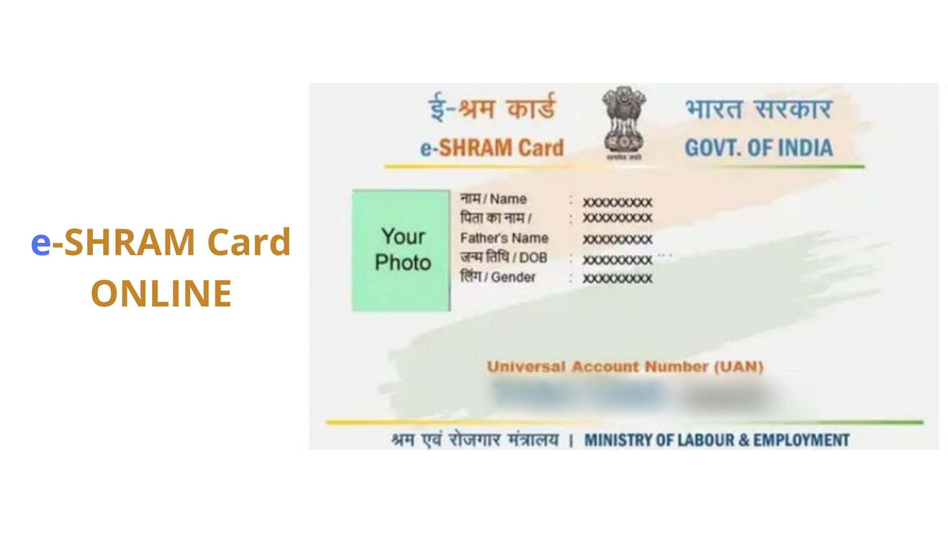 How To Apply E Shram Card Online- Registration Details, Eligibility And More