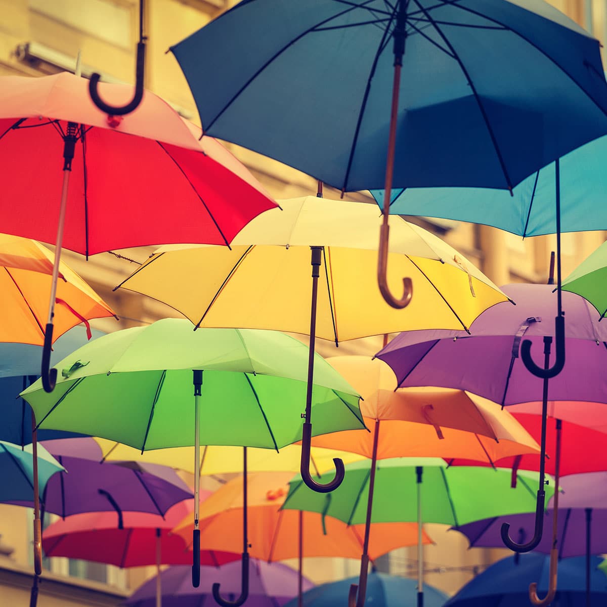 10 Best Umbrella Brands In India: Stylish And Colorful 