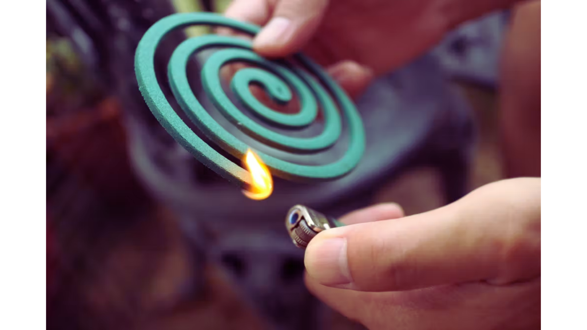 15 Best Mosquito Coil Brands in India