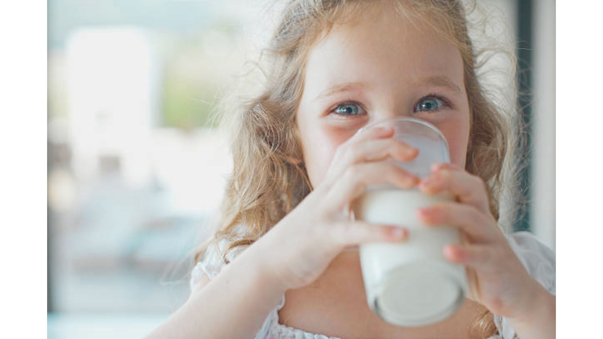 11 Best Milk Brands in India : Healthy and Popular