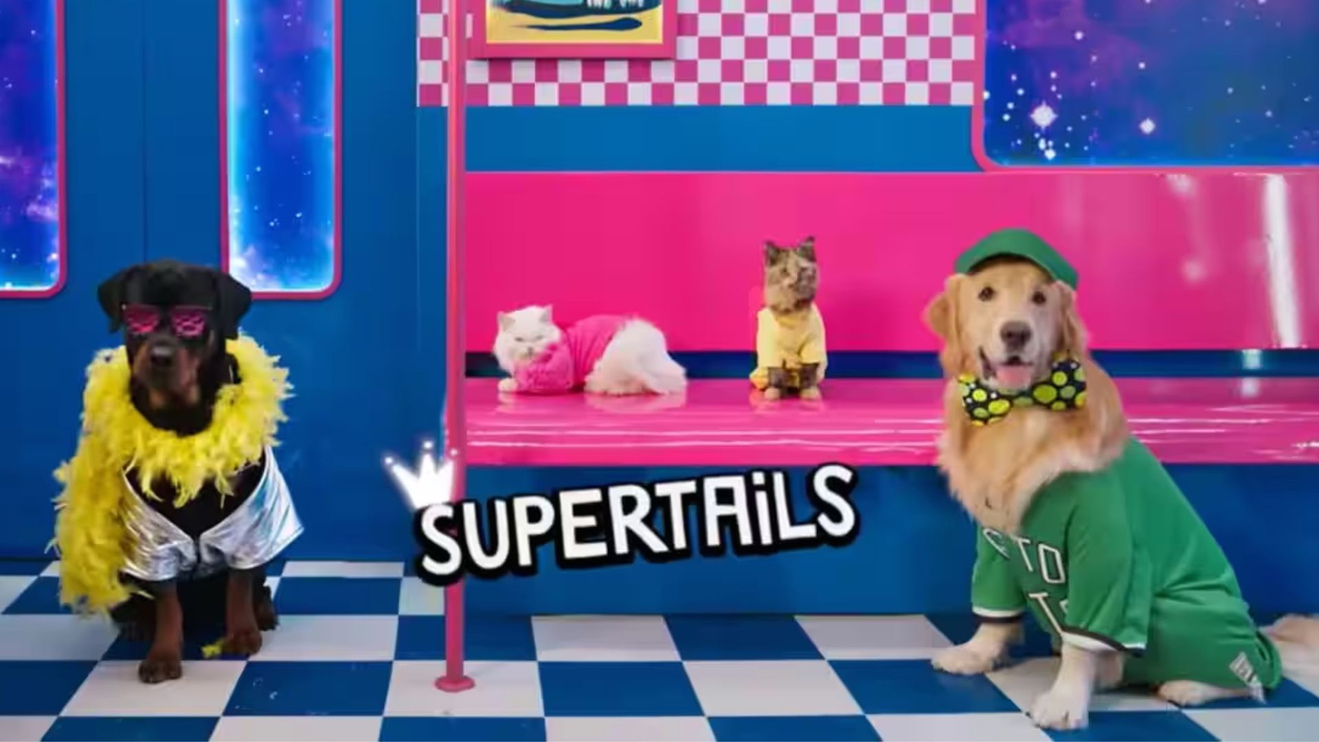Supertails Upcoming Sale 2023-24: Upto 50% Off