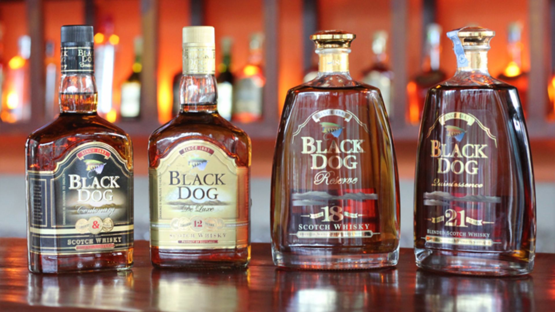 Black Dog Price Hyderabad l Black Dog Whisky (Latest in 2024)