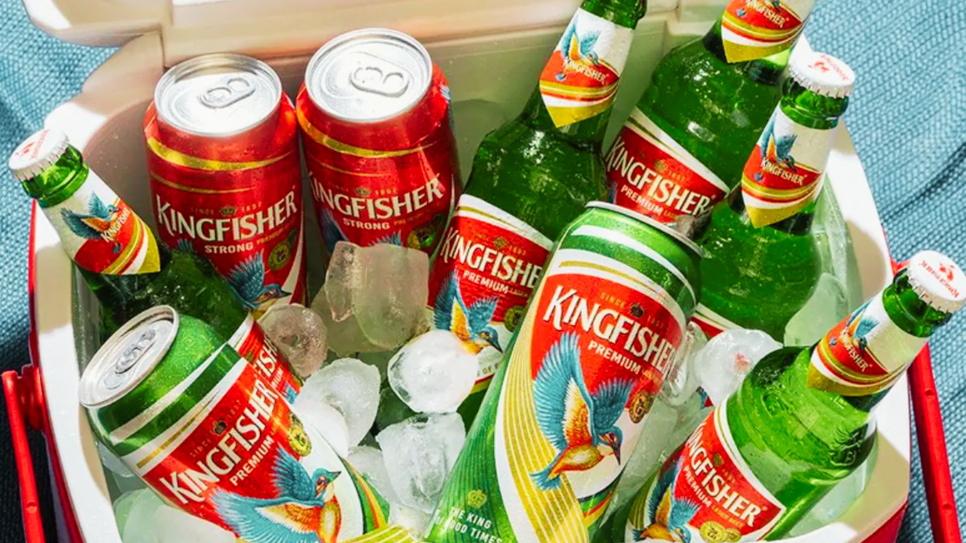 Kingfisher Beer Price in India [2024 Updated List]