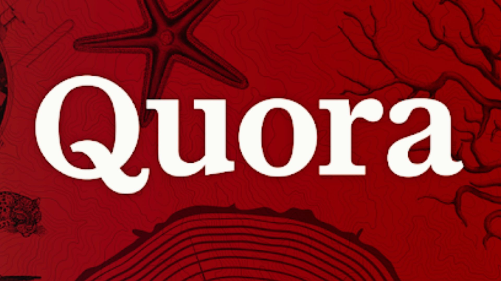 How to Delete Quora Account Permanently? 2 Easy Methods