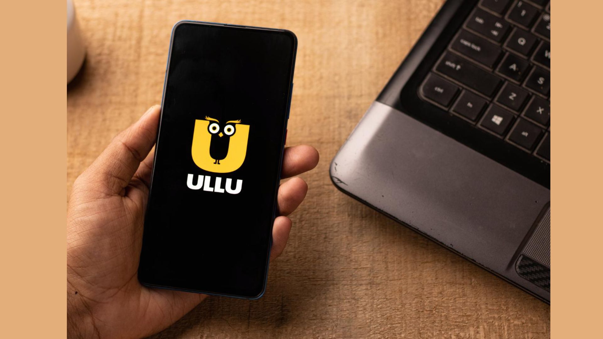 Charamsukh Ullu Web Series: Plot, Episodes, Cast & More