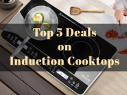 Handpicked Deals on Induction Cooktops [Prestige, Pigeon & More]