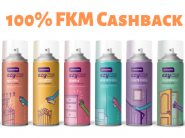 100% FKM Cashback On Asianpaints DIY Spray + 10% Coupon Off + Free Shipping