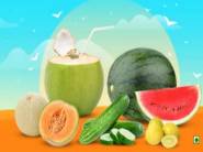 Amazon Fresh - Get 50% ( Up-to Rs.200 ) Cashback On Veg & Fruits 