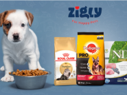 Zigly is Back - Up To Rs.1000 Coupon + Flat Rs.700 FKM CB !!