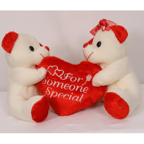 for someone special teddy bear
