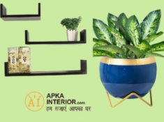 New Offer - Planters, Shelves At Flat Rs.300 CB + 10% Coupon