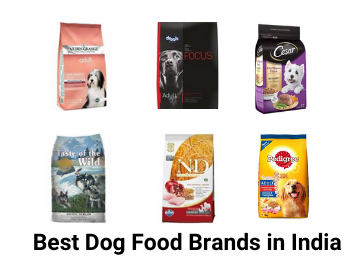 15 Best Dog Food Brands In India Best Dog Food In India