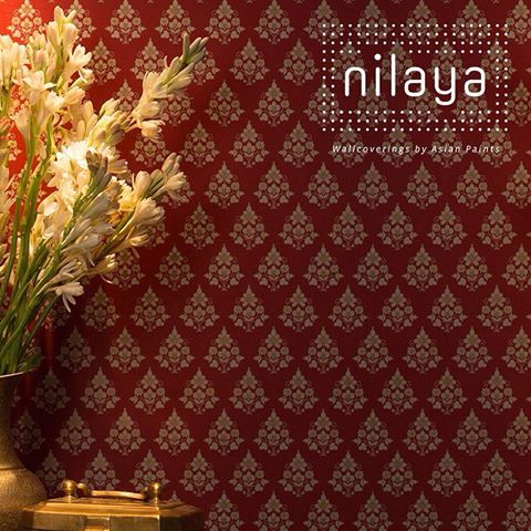 11 Best Wallpaper In India: Turn Your Walls Into Art