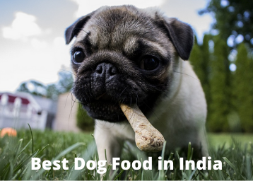 Best Dog Food in India