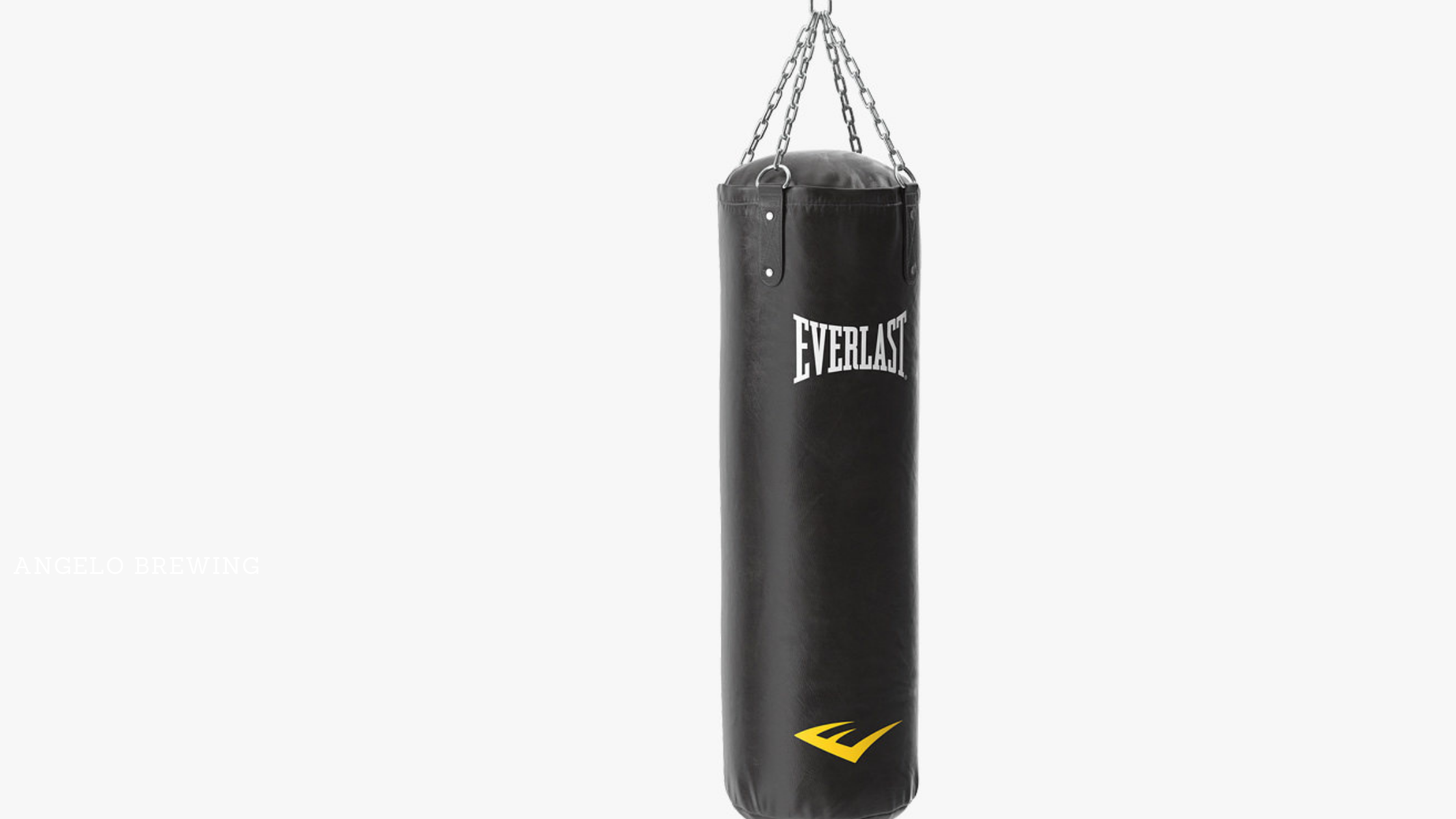 punching ball everlast decathlon