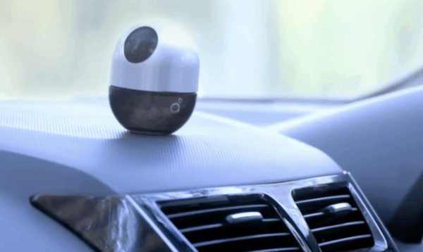 20 Best Car Perfumes In India for 2021 - Reviews