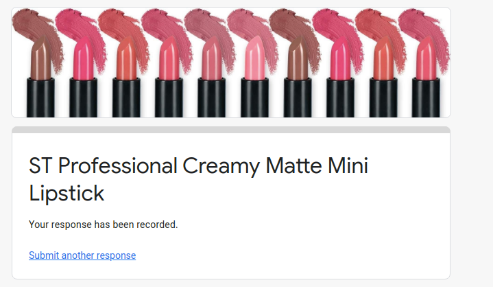 st professional creamy matte mini lipstick