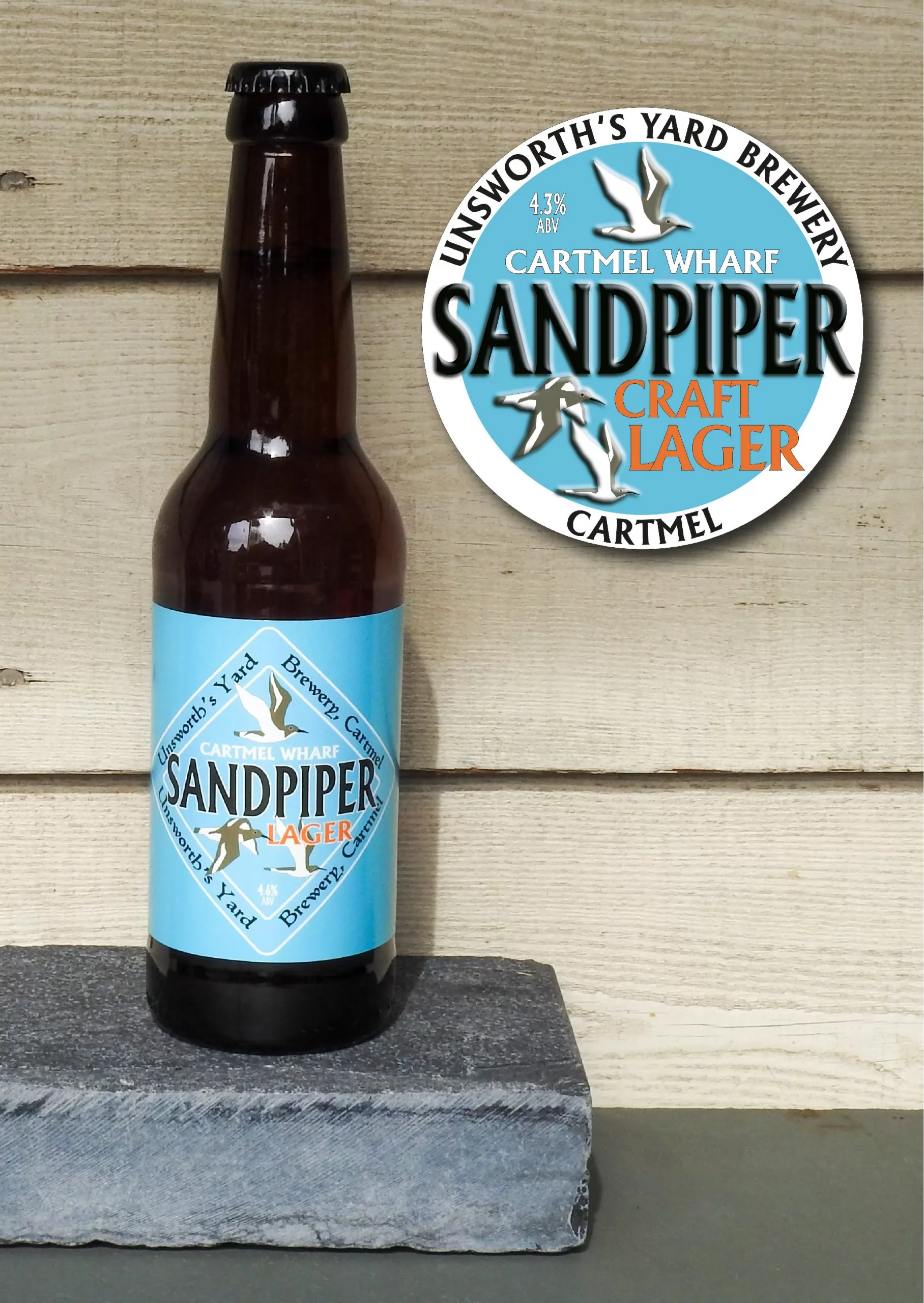 Sand Piper