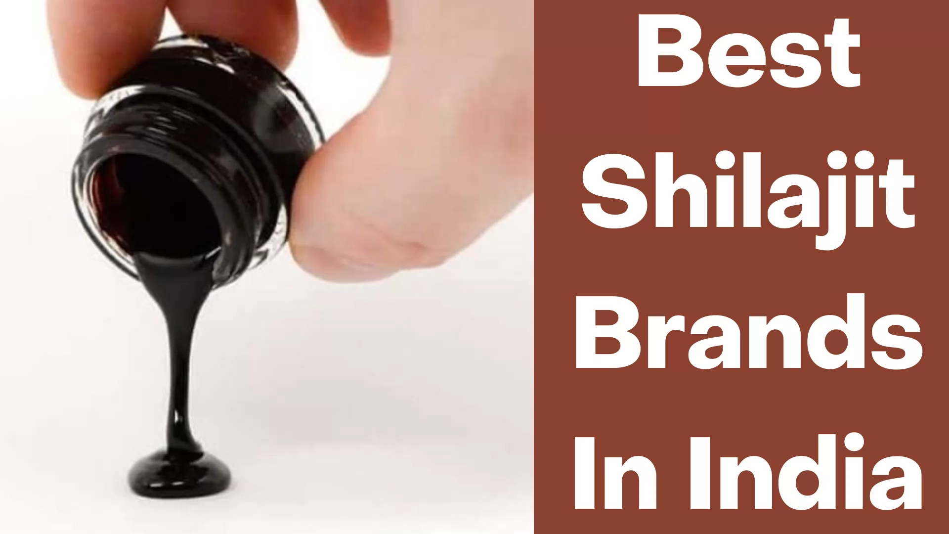 Best Shilajit Brands In India