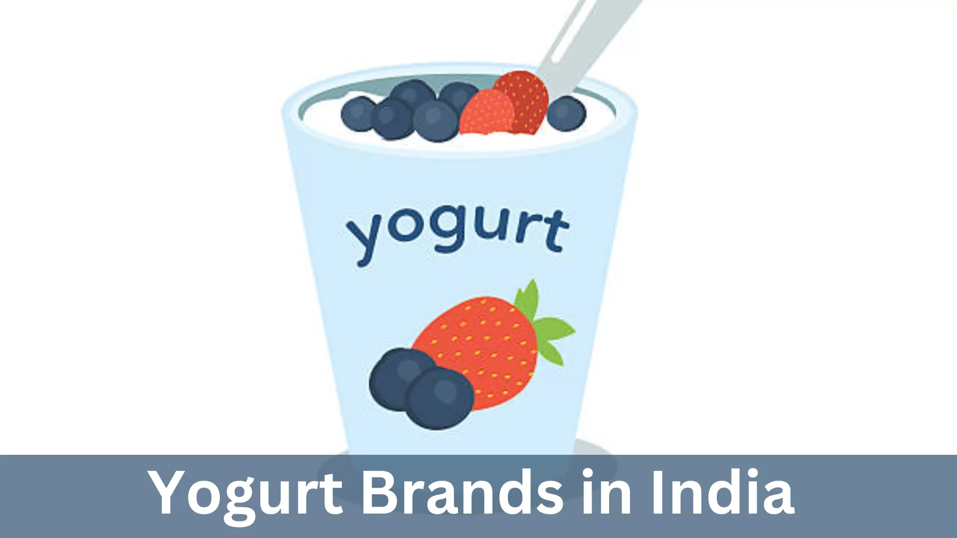 Yogurt Brands in India
