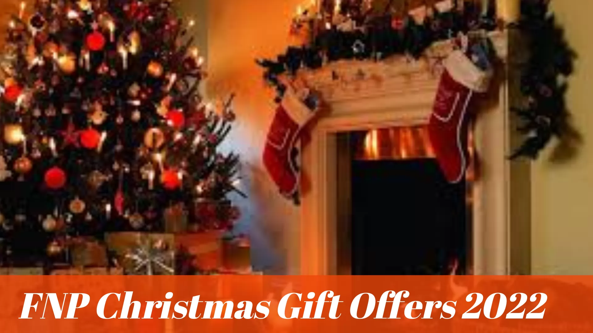 FNP Christmas Gift Offers