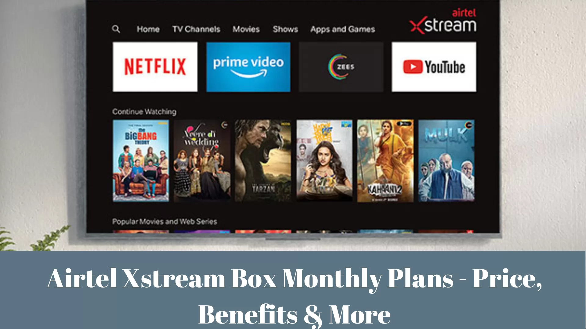 Airtel Xstream Box Monthly Plans 