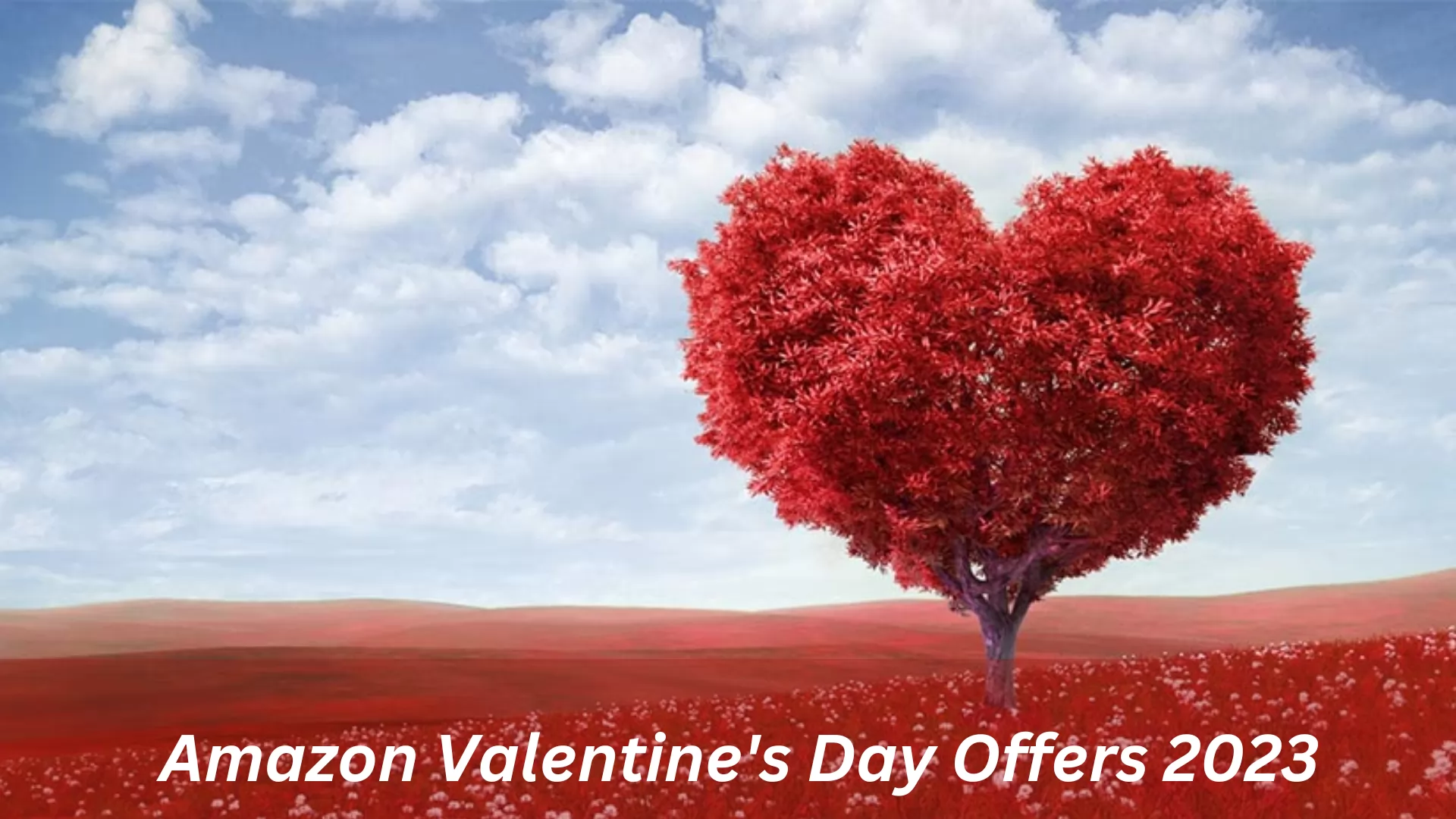 Amazon Valentines Day Offers 2023