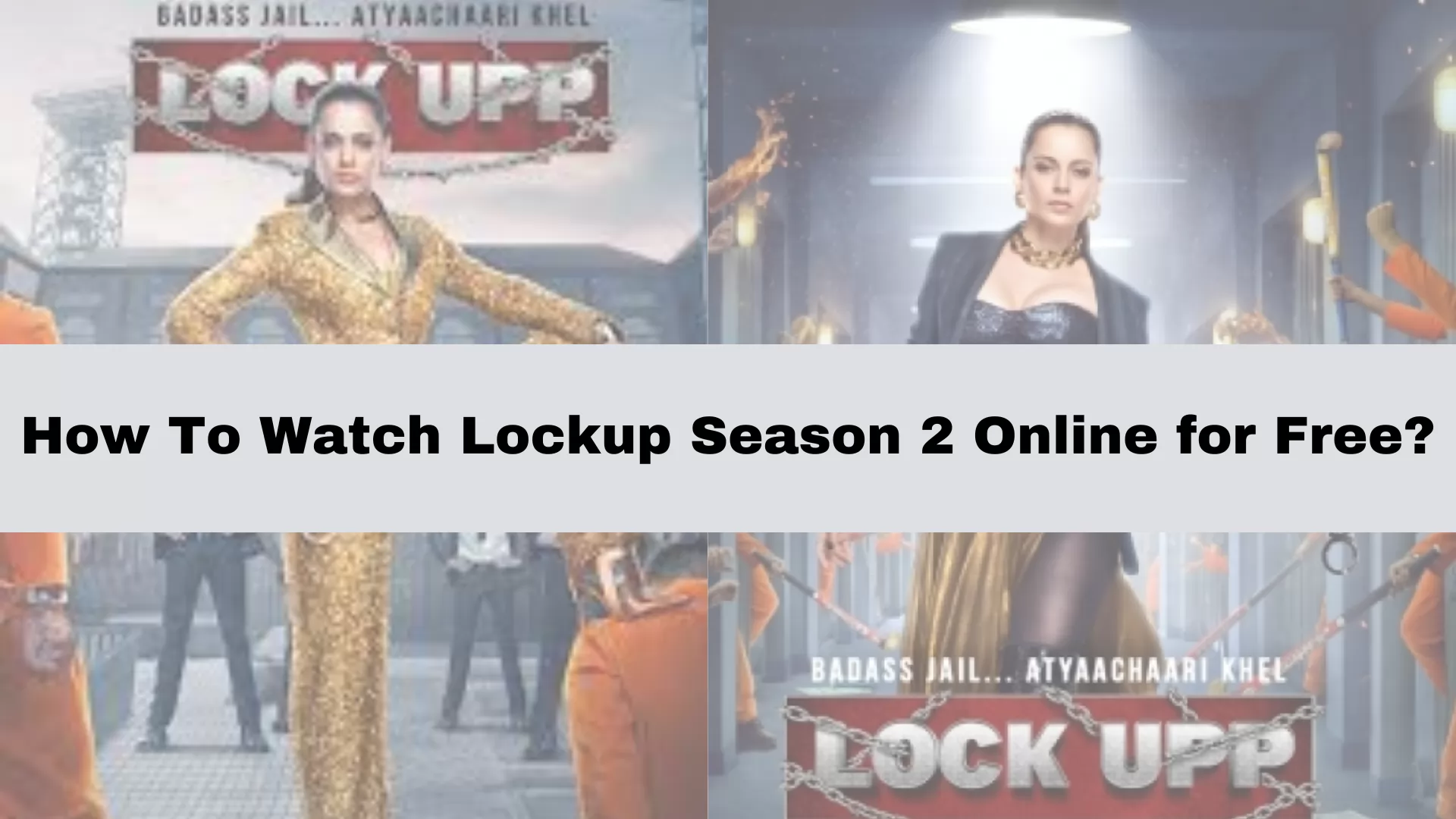 How to Watch Lockup Season 2 Online For Free?