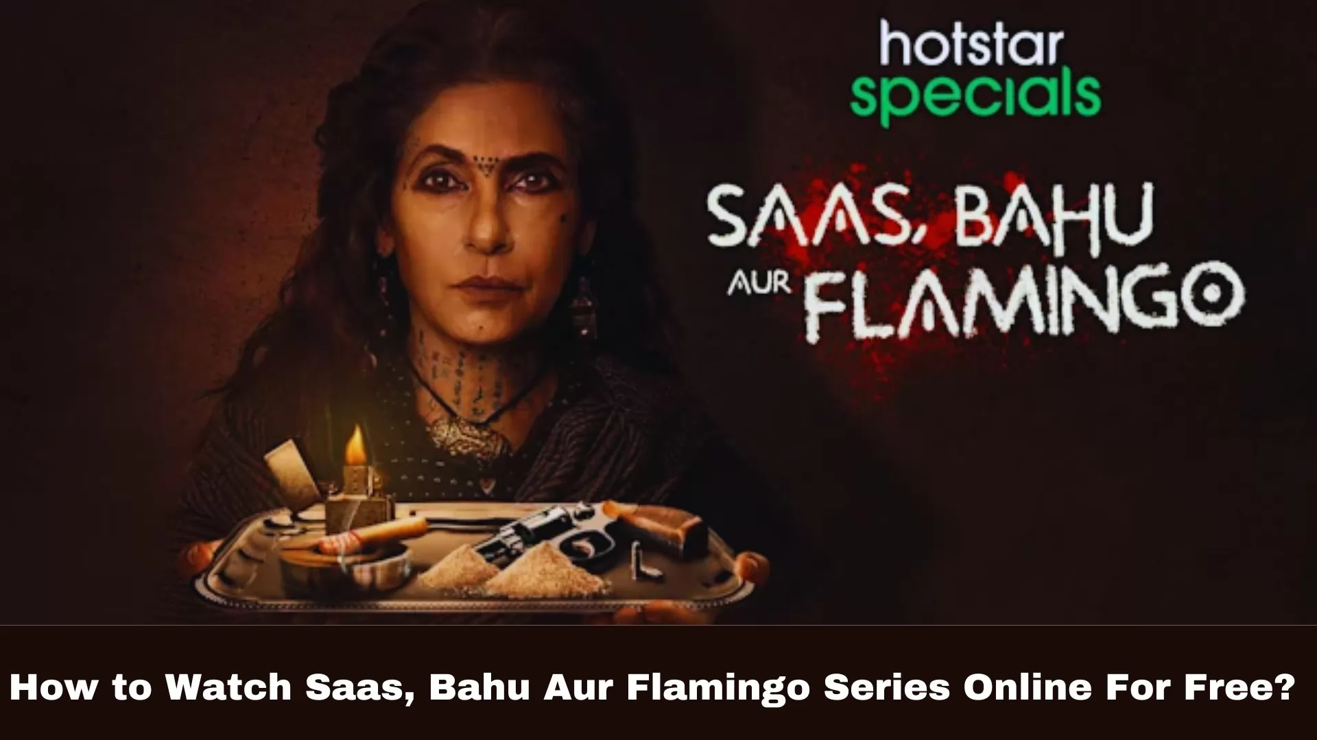 How to Watch Saas, Bahu Aur Flamingo Series Online For Free? 