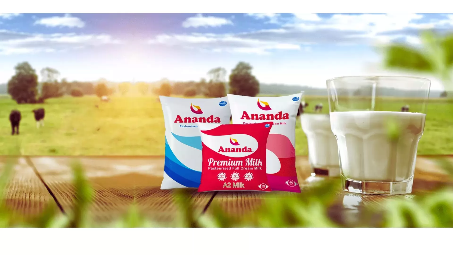 Ananda Milk Cake Price - Buy Online at Best Price in India