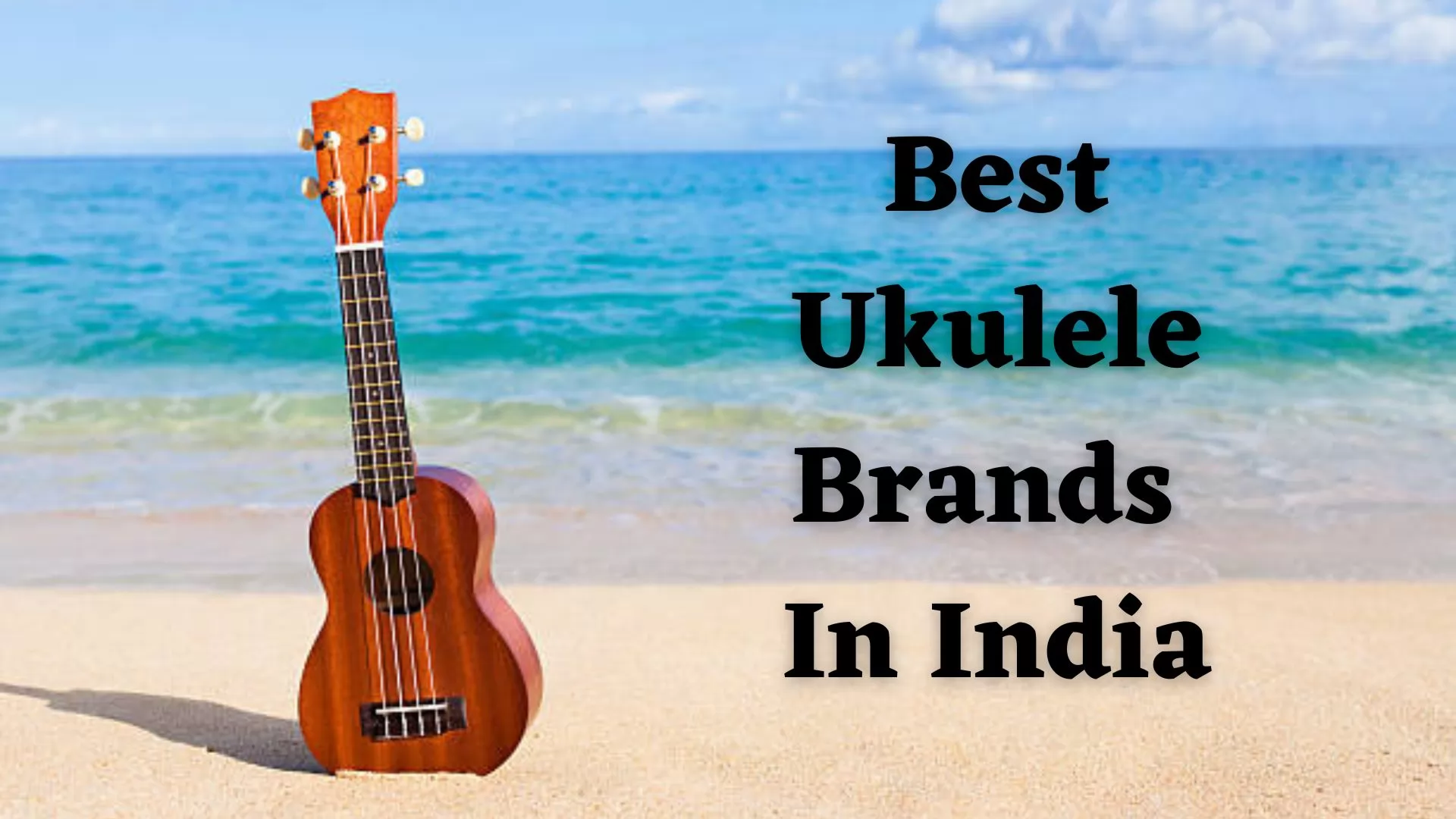 17 Best Ukulele Brands In India Buy Prices