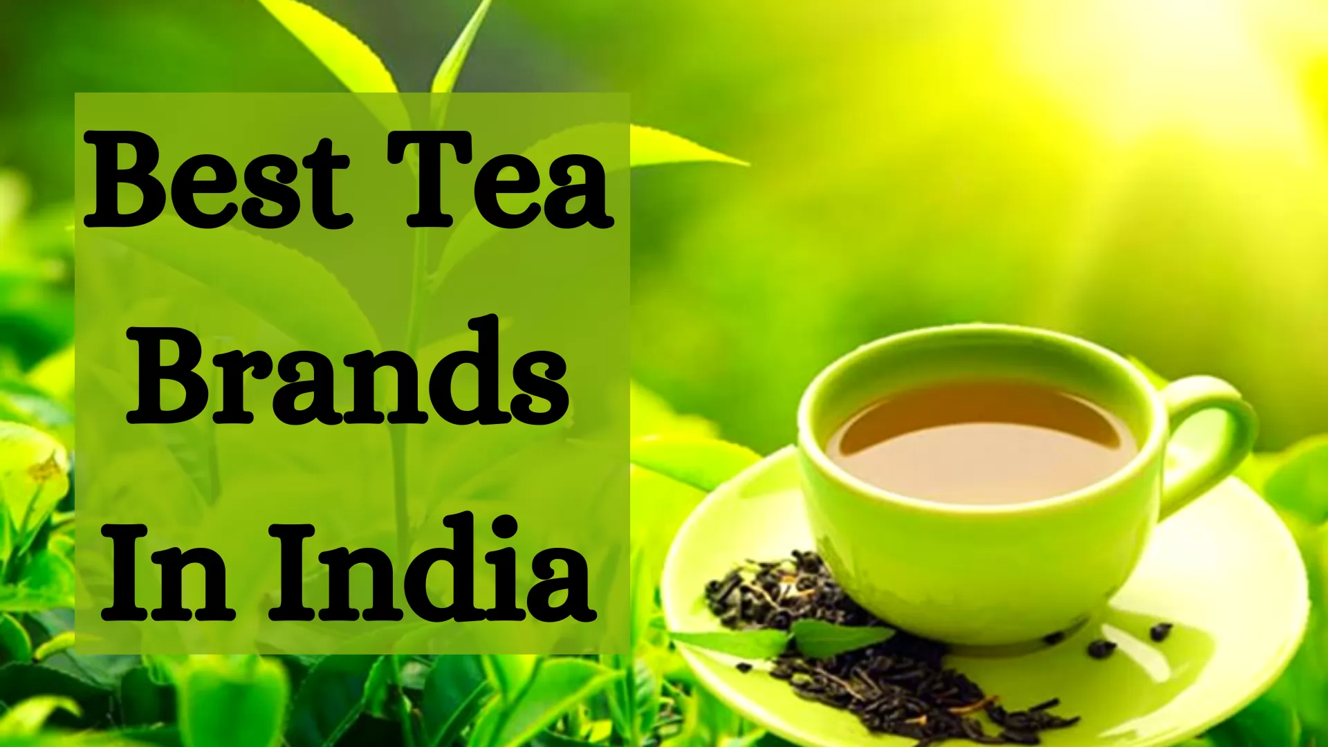 Best Tea Brands In India